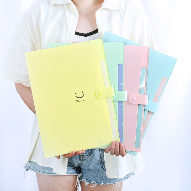 Organizer File A4 5 Kantong Ko - Document Organizer Folder ulasan dan harga